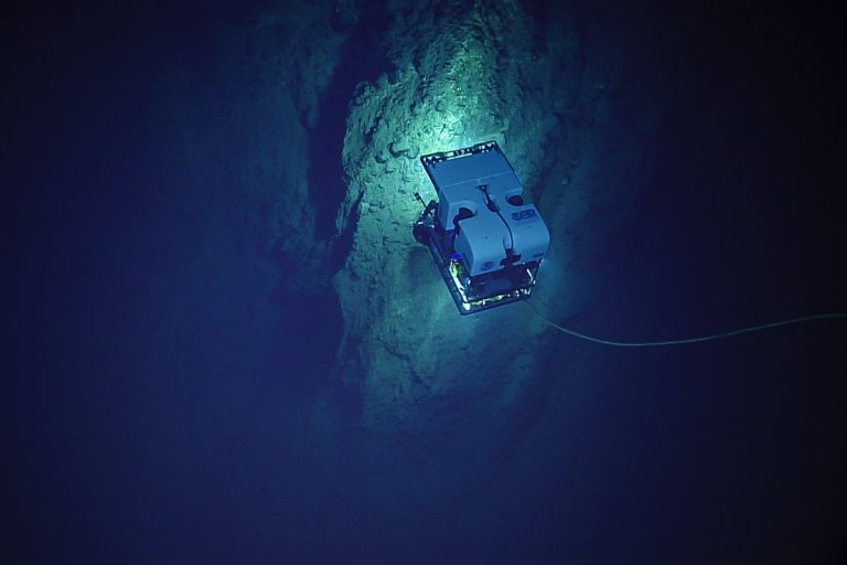 D2 on a rock wall. Credit: NOAA OER