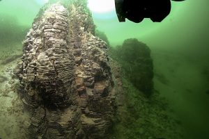 One of the many unique geological features at the bottom of Yellowstone Lake. It’s formation layers are clearly visible. Credit: GFOE