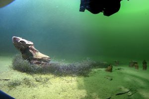 Hollow pipes, some several feet in height, were found rising up from the lake bottom. It is thought that these are the old plumbing systems of now dormant geysers. Credit: GFOE